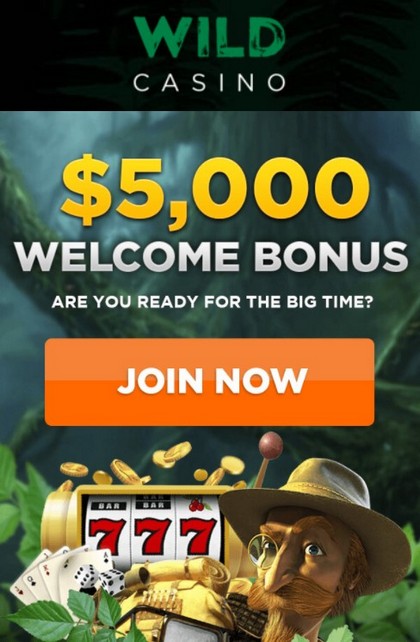Welcome Bonus Package up to $5000 at USA Online Casino Wild