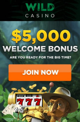 Welcome Bonus Package up to $5000 at USA Online Casino Wild