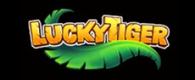 Review No Deposit Casino Lucky Tiger with Free Bonuses